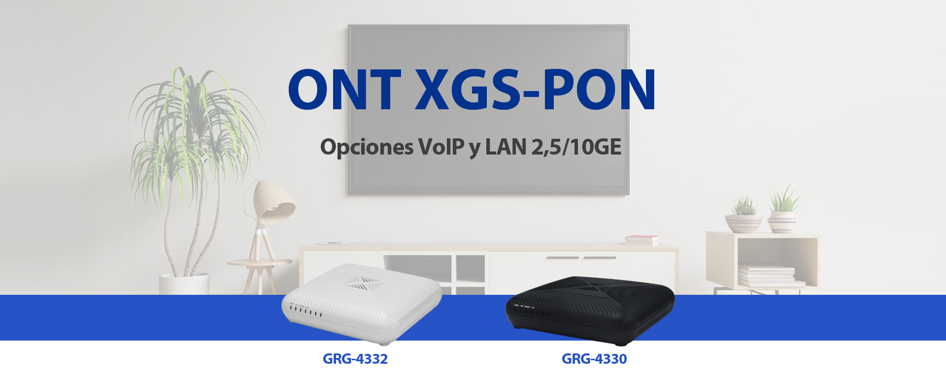 ONT XGS-PON